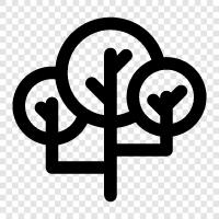 Fern, Tree House, Arboretum, Lumberjack icon svg