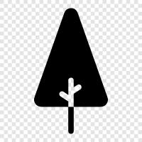 Ficus, Bonsai, Garden, House Tree: icon svg