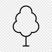 Ficus, Bonsai, Pruning, Planting icon svg