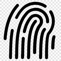 fingerprint, print, prints, fingerprints icon svg