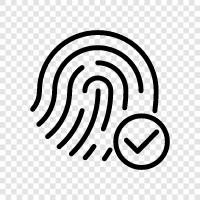 fingerprint recognition, fingerprint identification, fingerprint authentication, fingerprint success icon svg