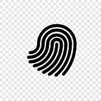 fingerprints, print, ridges, patterns icon svg