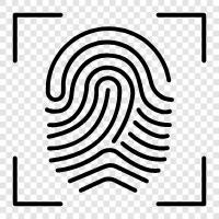 fingerprints, fingerprints identification, print identification, criminal prints icon svg