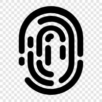 fingerprints, palm prints, criminal prints, identification icon svg