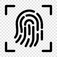 fingerprints, identification card, driver s license, Social Security number icon svg