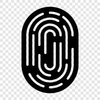 fingerprints, print, identification, criminal icon svg