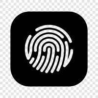 fingerprints, prints, criminal prints, identification icon svg