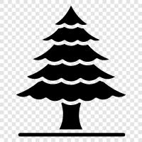 fir, artificial, prelit, tree stand icon svg