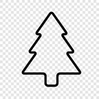 fir, Christmas tree, Christmas, tree icon svg