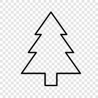 fir, tree, cone, cones icon svg