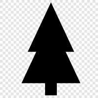 fir, conifer, pine, Christmas icon svg