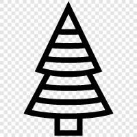 fir needles, fir cones, fir bark, fir tree care icon svg