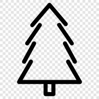 Fir, Christmas, Trees, Nature icon svg