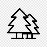 fir, Christmas tree, needles, tree icon svg