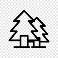 fir, Christmas, decorations, needles icon svg