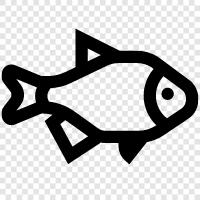 fish, salt, freshwater, diet icon svg