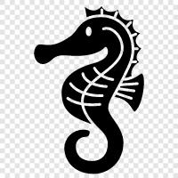 fish, mammal, seahorse, animal icon svg