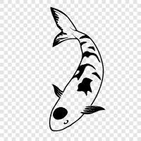 Fisch, Haustier, Aquarium, Fischtank symbol