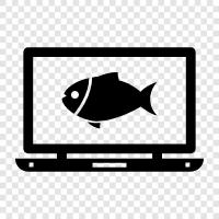 fish online, buy fish, fresh fish, frozen fish icon svg