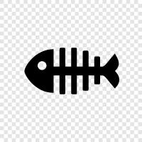 fish skeleton, fish scales, fish scales for sale, fish skeleton for sale icon svg