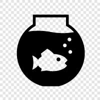 fishbowls, fishbowl competition, fishbowls for business, fish icon svg