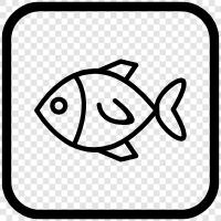 Fisherman, Fishing, Fish Tank, Aquarium icon svg