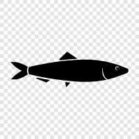 fishing, seafood, canned, smoked icon svg