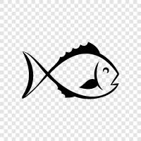 fishing, catch, fishmonger, shop icon svg