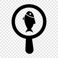 fishing, fishing tips, fishing equipment, fishing maps icon svg