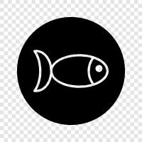 fishing, caught, eating, fresh icon svg