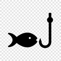 fishing gear, fishing techniques, fishing tips, fishing stories icon svg