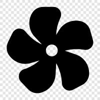 five leaf clover, five petals, five pointed star, five pointed icon svg