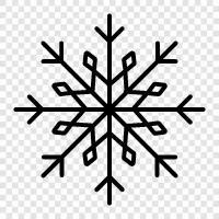 flake, snow, ice, snowflake icon svg