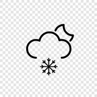 flakes, white, winter, icy icon svg