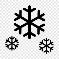 flakes, snowflakes, winter, winter sports icon svg