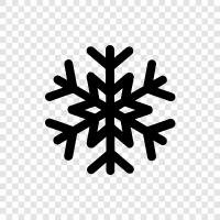 flakes, snow, white, winter icon svg