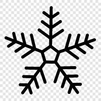 flakes, snowflakes, snowstorm, cold icon svg