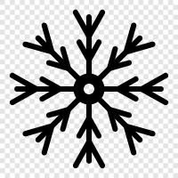 flakes, frigid, winter, snow flake icon svg