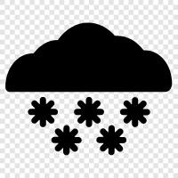 flakes, white, winter, ice icon svg