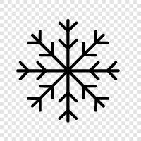 flakes, snow, winter, season icon svg