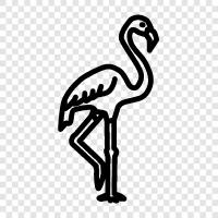 flamingo, pink, animal, bird icon svg