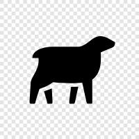 fleece, wool, Sheep icon svg