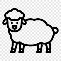 fleece, wool, sheep farmer, livestock icon svg