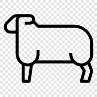 fleece, wool, fiber, Sheep icon svg