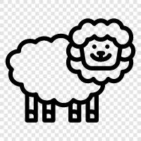 fleece, wool, lamb, mutton icon svg