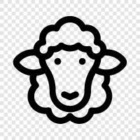 fleece, wool, lamb, mutton icon svg