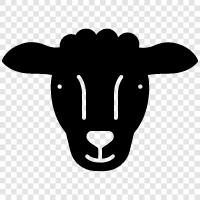 Flock, Herd, Animal, Wool Значок svg