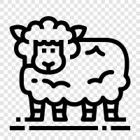 flocks, grazing, wool, fleece icon svg