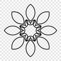 flora, plant, blooming, colours icon svg