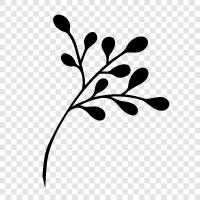 Flora, Botany, Gardening, Flowers icon svg
